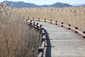 アフターピルを深夜に受け取りたい場合の方法は？