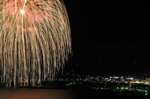 アフターピルを鹿児島で2時間以内に配達してもらうには？