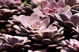 アフターピルを初めて利用する際の不安をオンラインで解消する方法は？
